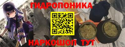 твердый Коммунар