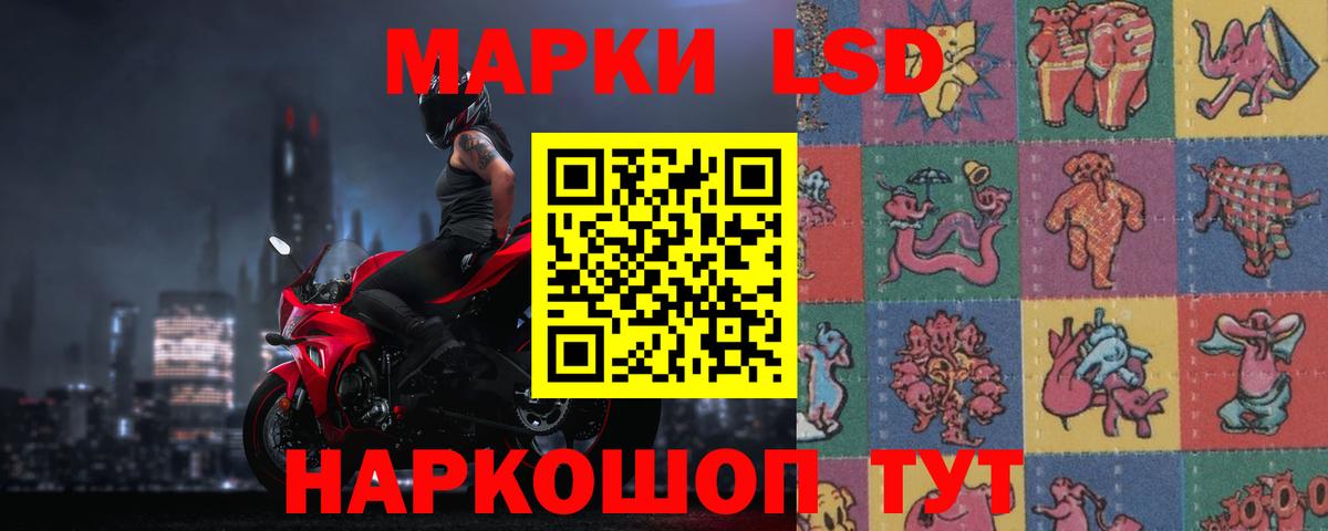Электрогорск  LSD-25 экстази  ЛСД экстази кислота  Вход с VPN  ЛСД экстази ecstasy 