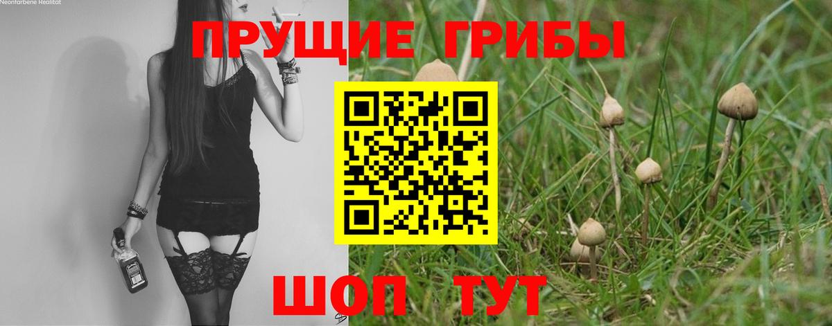 Псилоцибиновые грибы GOLDEN TEACHER  Вход с VPN  Электрогорск 